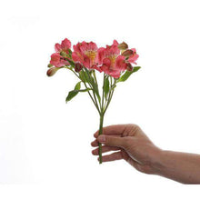 Load image into Gallery viewer, Fine Alstroemerias (Peruvian Lilies) Bouquet - Rosaholics