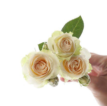 Load image into Gallery viewer, Baby Roses / Spray Roses - Rosaholics