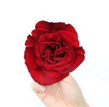 Load image into Gallery viewer, Heartbeat Red Rose Bouquet - Rosaholics