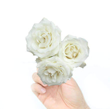 Load image into Gallery viewer, Baby Roses / Spray Roses - Rosaholics