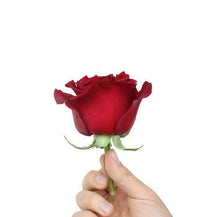 Load image into Gallery viewer, Heartbeat Red Rose Bouquet - Rosaholics