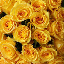Load image into Gallery viewer, By color, by the dozen - Rosaholics
