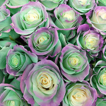 Load image into Gallery viewer, Aquamarine Rose Bouquet - Rosaholics
