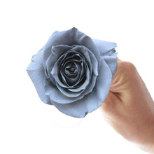Load image into Gallery viewer, Argento Rose Bouquet - Rosaholics
