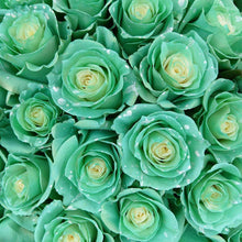 Load image into Gallery viewer, Bubble Tea Rose Bouquet - Rosaholics
