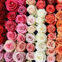 Load image into Gallery viewer, By color, by the dozen - Rosaholics
