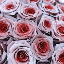 Load image into Gallery viewer, Cupid Rose Bouquet - Rosaholics
