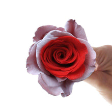 Load image into Gallery viewer, Cupid Rose Bouquet - Rosaholics
