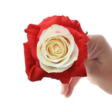 Load image into Gallery viewer, Dolce Amore Rose Bouquet - Rosaholics
