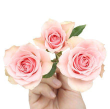 Load image into Gallery viewer, Baby Roses / Spray Roses - Rosaholics
