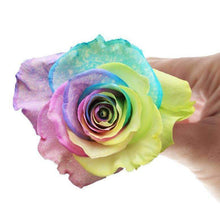 Load image into Gallery viewer, Fancy Cake Rose Bouquet - Rosaholics
