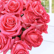 Load image into Gallery viewer, Forever Rose Bouquet - Rosaholics
