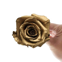 Load image into Gallery viewer, Golden Frost Rose Bouquet - Rosaholics

