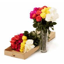 Load image into Gallery viewer, Tulum Fresh Rose Bouquet - Rosaholics

