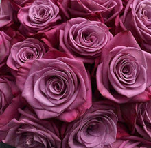 Load image into Gallery viewer, By color, by the dozen - Rosaholics
