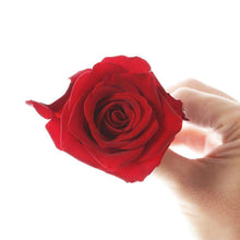 Load image into Gallery viewer, I Love You Rose Bouquet - Rosaholics
