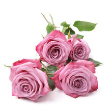 Load image into Gallery viewer, Purple Love Rose Bouquet - Rosaholics
