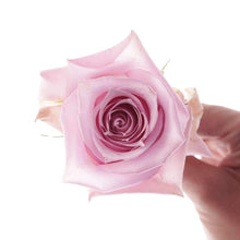 Load image into Gallery viewer, Vogue Rose Bouquet - Rosaholics
