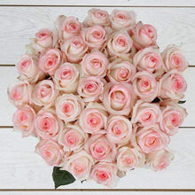 Load image into Gallery viewer, Pinkaholic Rose Bouquet - Rosaholics
