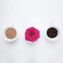 Load image into Gallery viewer, Pink Love Rose Bouquet - Rosaholics
