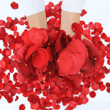 Load image into Gallery viewer, Petals - Rosaholics
