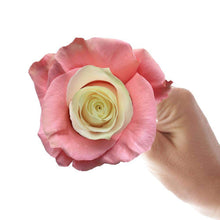 Load image into Gallery viewer, Pink Ice Rose Bouquet - Rosaholics
