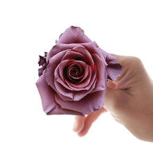 Load image into Gallery viewer, Cherry Pie Rose Bouquet - Rosaholics
