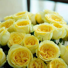 Load image into Gallery viewer, Sunshine Garden Rose Bouquet - Rosaholics
