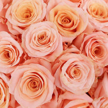 Load image into Gallery viewer, By color, by the dozen - Rosaholics
