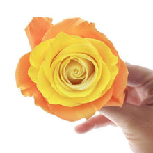 Load image into Gallery viewer, Sweet Melon Rose Bouquet - Rosaholics
