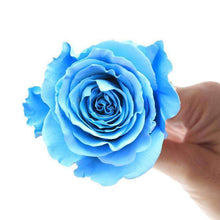 Load image into Gallery viewer, Serendipity Rose Bouquet - Rosaholics
