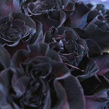 Load image into Gallery viewer, black roses delivery
