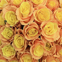 Load image into Gallery viewer, Sweet Melon Rose Bouquet - Rosaholics
